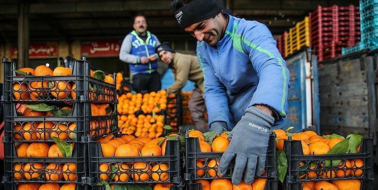 انتخاب جنوب کرمان به&zwnj;عنوان معین برای تامین پرتقال تنظیم بازار شب عید کشور