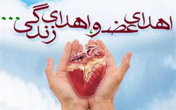 اهدای عضو، آخرین درس مادر ۴۹ ساله زنجانی