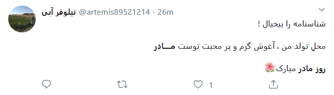 تبریک کاربران فضای مجاز به مناسبت روز مادر