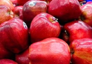 ۵۰۰۰ تن سیب در سردخانه‌های بروجرد ذخیره شده است