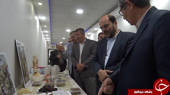 دبیرخانه دائمی همایش ملی خرما در بوشهر گشایش یافت