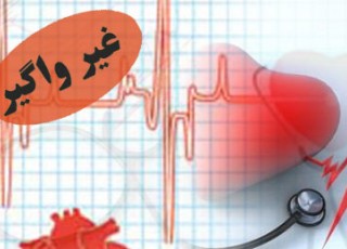 طرح پیمایش بررسی عوامل خطر بیماری های غیرواگیر در بوشهر آغاز شد