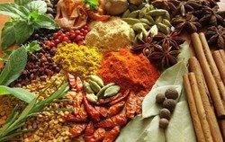پلمب یک مرکز عرضه داروی گیاهی در تربت حیدریه