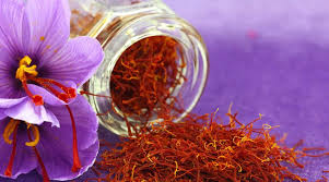 اوسک، راهی برای یادآوری هویت حقوقی و بینالمللی زعفران اوسک، راهی برای یادآوری هویت حقوقی و بینالمللی زعفران