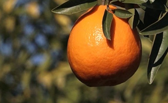 نگاهی گذرا به مهمترین رویداد&zwnj;های یکشنبه ۲۷ بهمن ماه در مازندران