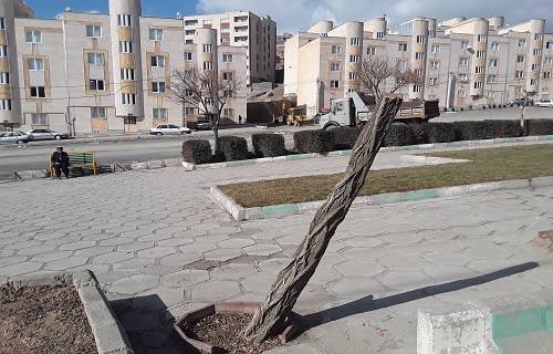 هیچ درختی در پارک ۲۸ دی آبیدر قطع نشده است