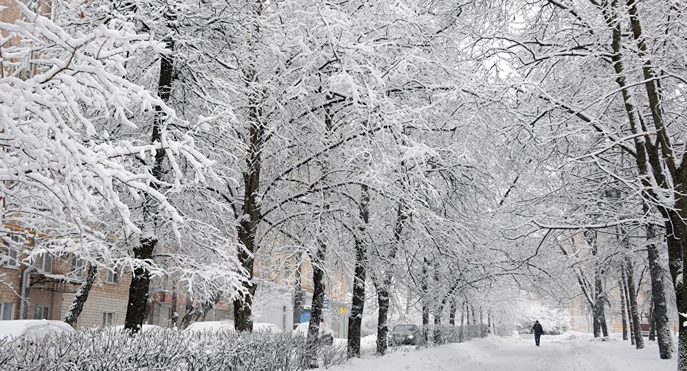 بارش سنگین برف و کولاک در آذربایجان شرقی