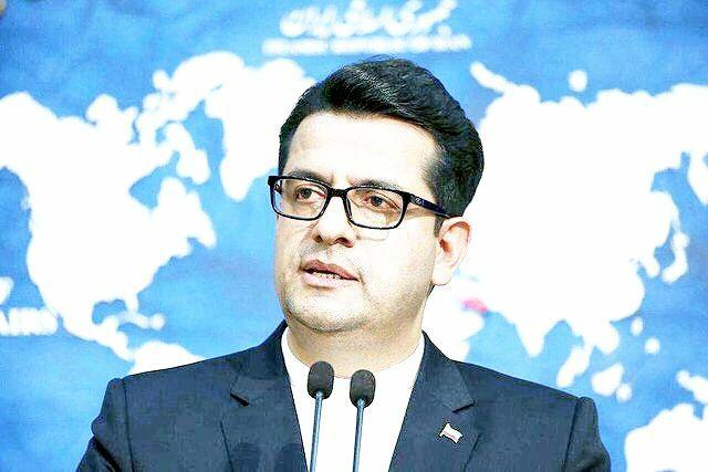احمد خلیلی همراه ظریف به تهران بازگشت
