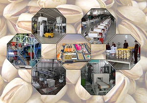 پرداخت بیش از ۸۶ میلیارد تومان برای اجرای طرح های صنایع تبدیلی