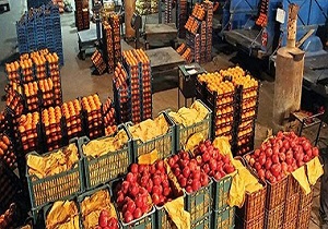 ذخیره سازی بیش از ۶ هزار تن میوه در سردخانه‌های استان اصفهان