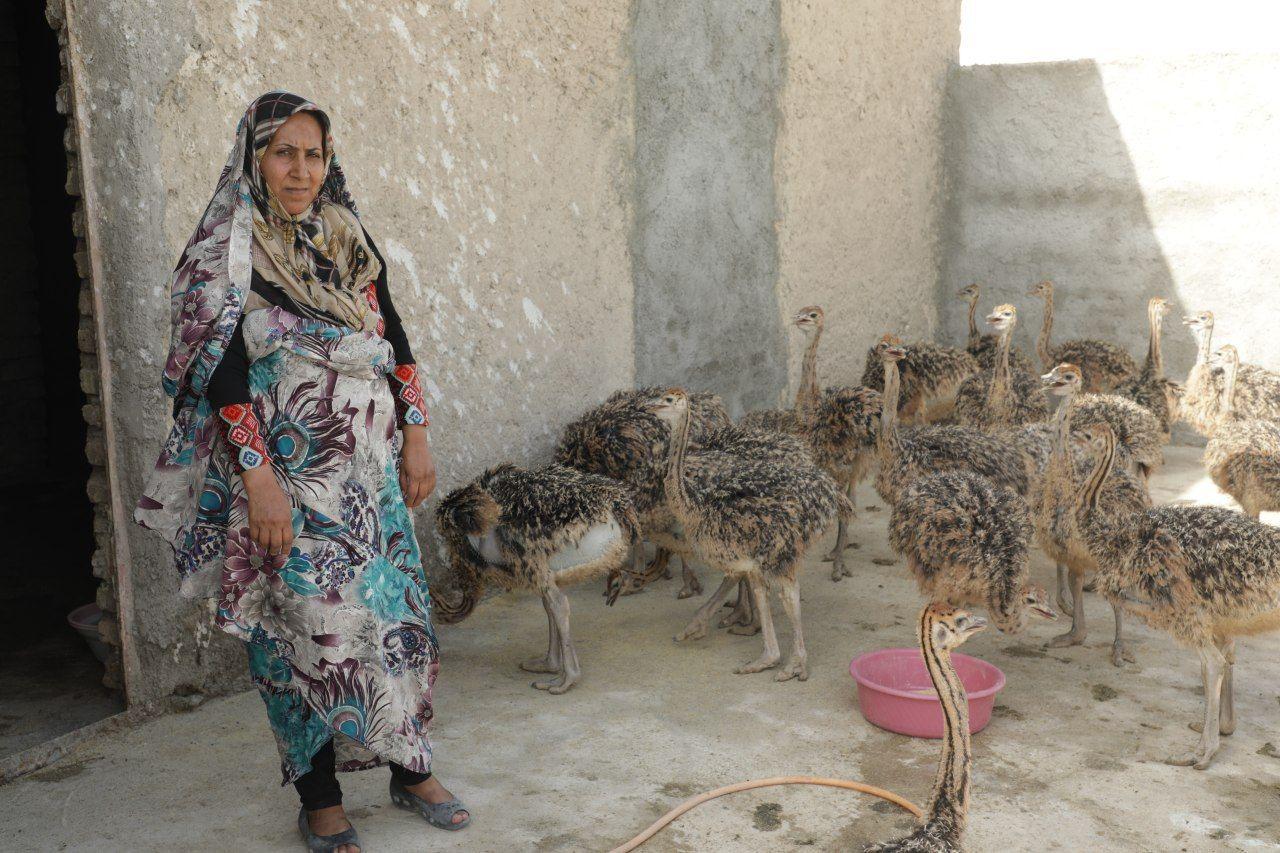 ایجاد ۱۹ هزار شغل توسط بنیاد برکت در سیستان و بلوچستان