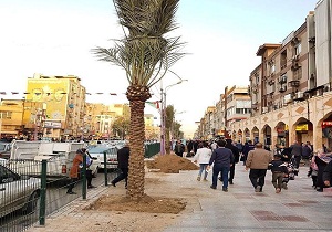 خیابان سلمان فارسی، نخلستانی در هسته مرکزی اهواز