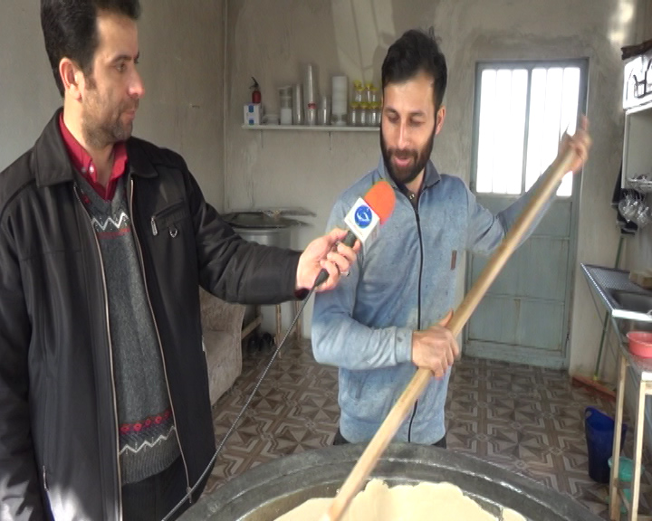 برداشت و استحصال ۳۰ تن شکر سیاه در گیلان