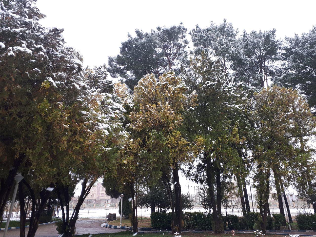 بارش برف و تلاقی بهار و زمستان در خرم آباد