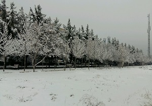 بارش ۷ سانتی متر برف در آبیک/ موج سرما و کاهش دما تا ۱۰ درجه