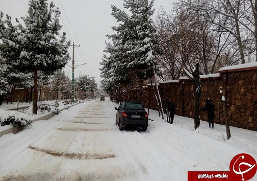 بارش برف در استان سمنان به روایت تصویر
