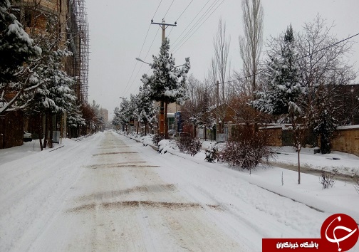بارش برف در استان سمنان به روایت تصویر