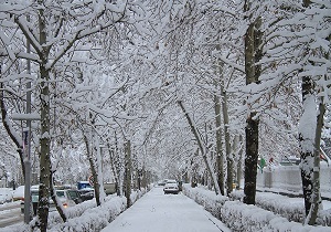بارش برف و کاهش دمای هوا در اردبیل