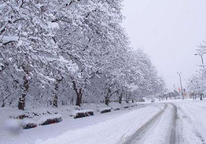 کاهش ۱۰ درجه ایی دما هوا در کردستان