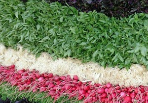 کشور‌های حوزه خلیج فارس خریدار سبزی و صیفی خوزستان