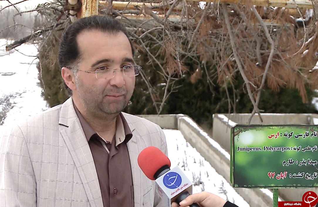 بزرگترین نهالستان شمالغرب کشور خزانه&zwnj;ای پربار برای حفظ پوشش جنگلی