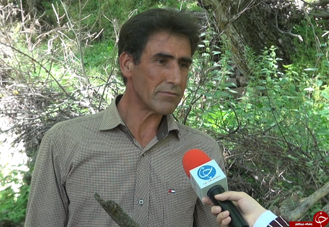 نجات جان جنگل&zwnj;های ایران با کمک آبگرمکن خورشیدی
