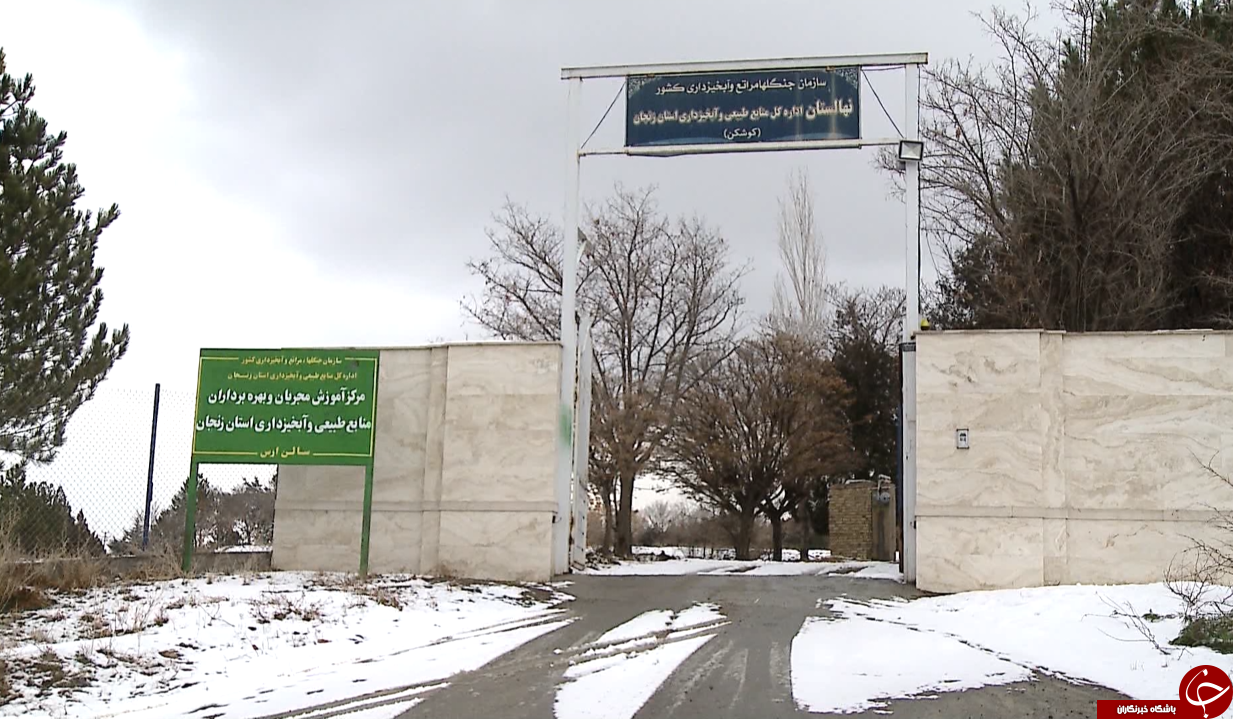 بزرگترین نهالستان شمالغرب کشور خزانه&zwnj;ای پربار برای حفظ پوشش جنگلی