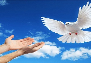 کمک ۶۱۰ میلیون ریالی انجمن حمایت از زندانیان به خانواده‌های تحت پوشش