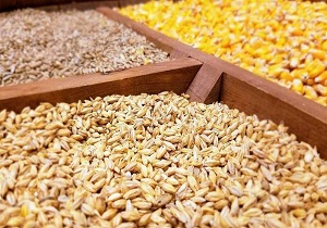 نهاده‌های دامی به میزان کافی در چهارمحال و بختیاری ذخیره می‌شود