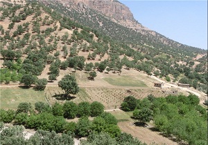 بیش از ۲ هزار هکتار عملیات بیولوژیک در مراتع استان انجام شد