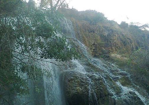 نابودی طبیعت تهدید جدی برای حیات انسان