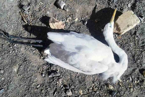 نگاهی گذرا به مهمترین رویداد&zwnj;های پنجشنبه ۳ بهمن ماه در مازندران