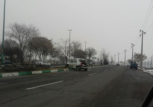 از حمله گرگ&zwnj;های گرسنه به سگ&zwnj;های یک روستا تا تردد خودروی ال ۹۰ با نقش و نگار کودکانه! + فیلم و تصاویر