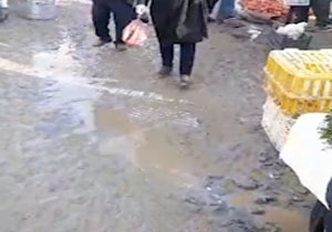 از گلایه از وضع نامناسب معابر در شهرک مرتضی&zwnj;گرد تا حمل بار غیرمجاز نیسان در هوای برفی + فیلم و تصاویر