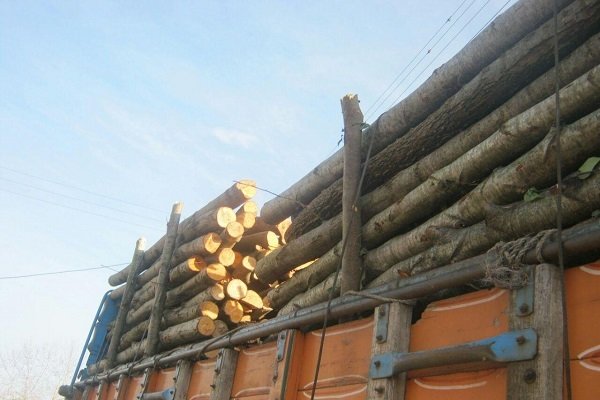 کشف و ضبط بیش از ۲ تن چوب قاچاق در سروآباد