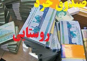 تشکیل ۸ صندوق اعتباری خرد زنان روستایی در خراسان شمالی
