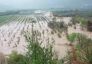 ۹۹ درصد پرونده‌های خسارت سیل خوزستان تأیید شد