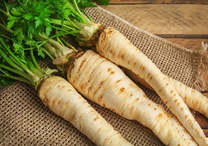 بهره برداری از ریشه شقاقل از عرصه‌های جنگلی خلخال ممنون است