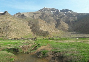 پیشرفت ۵۰ درصدی کمربند حفاظتی گرمسار