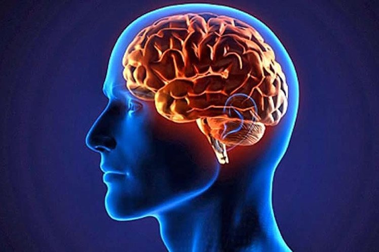 مواد غذایی که مغز احتیاج دارد مواد غذایی که مغز احتیاج دارد