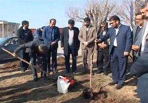 کاشت نهال در آبیک