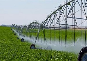 اجرای ۱۳ هزار هکتار طرح آبیاری نوین در اردبیل