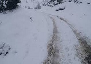 نجات خانوار‌های عشایری گرفتار در برف کوهدشت