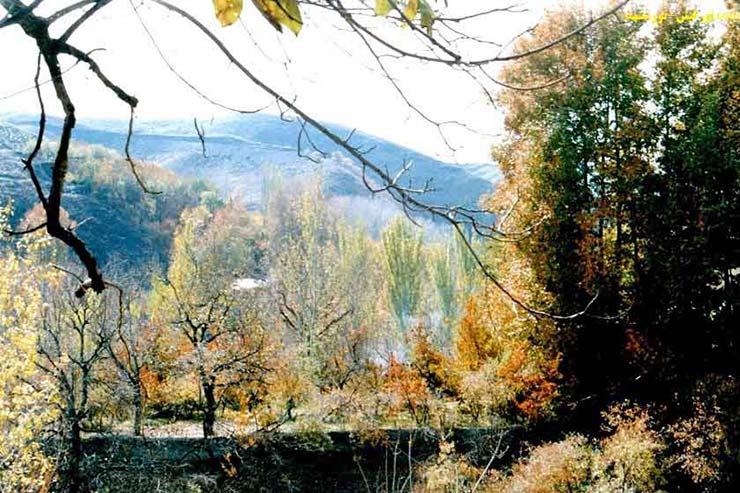 از رخوت روزهای زمستانی فرار کنیم