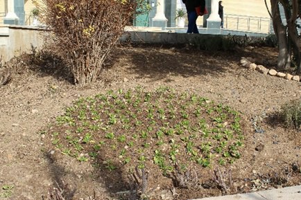 احداث گلخانه در پردیس 