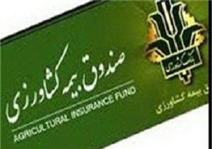 مهلت بیمه محصولات زراعی تا پایان بهمن تمدید شد