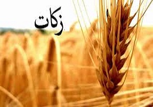 سمنانی ها ۱۲ میلیارد تومان زکات پرداخت کردند