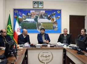 تشکیل اتاق اصناف کشاورزی در شهرستان&zwnj;ها