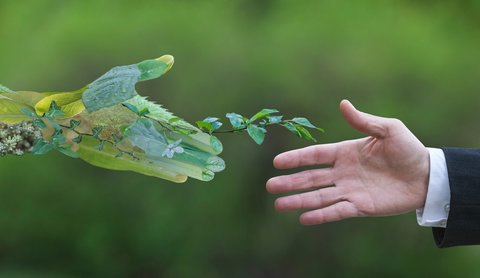 نگاه راه حل محور محیط زیست برای رفع موانع واحدهای تولیدی