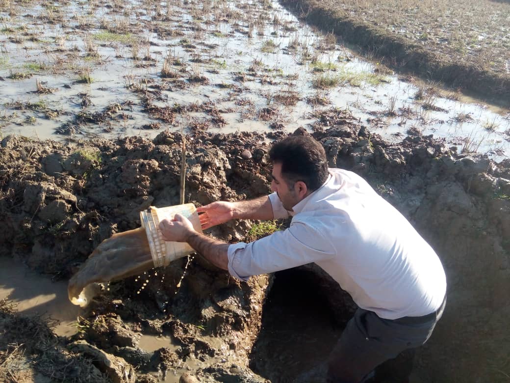 رفع ضعف فشار آب شرب ۲۰ روستای سیاهکل
